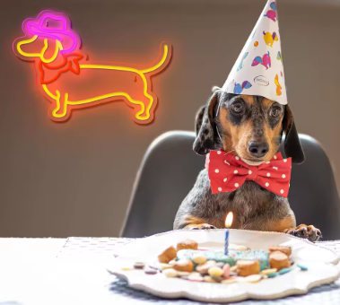 Duży neon Led USB Lampka na ścianę Napis do pokoju Pies w kapeluszu