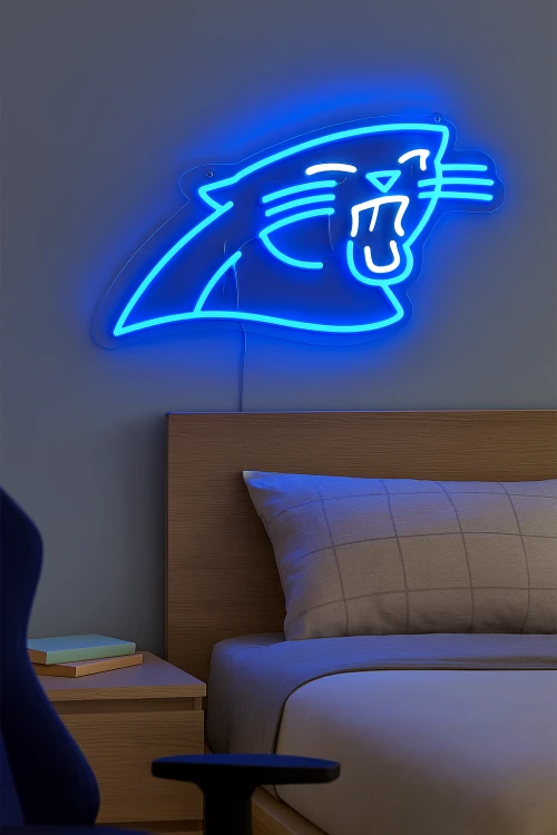 nn24-1.png